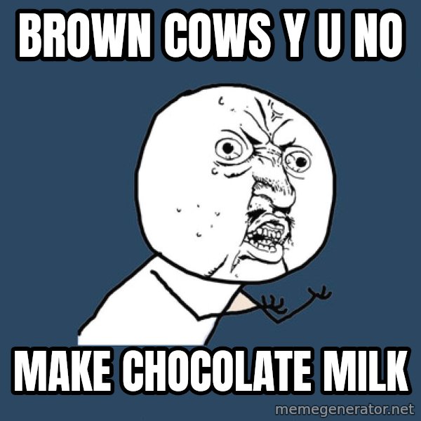 Y U No meme: BROWN COWS Y U NO / MAKE CHOCOLATE MILK