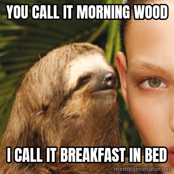The Rape Sloth meme: You call it morning wood / I call it breakfast in bed
