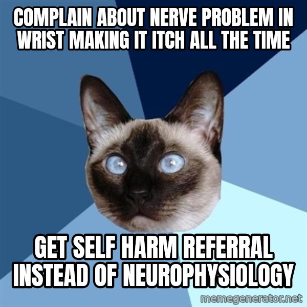 Chronic Illness Cat meme: Complain about nerve problem in wrist making it itch all the time / Get self harm referral instead of neurophysiology