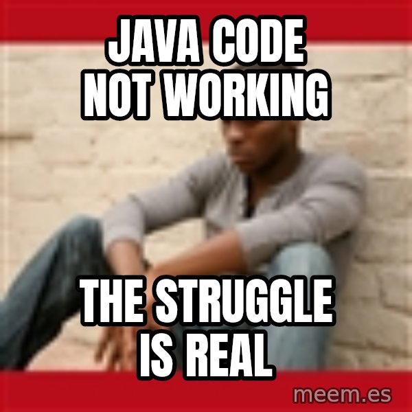 The Struggle Is Real meme: Java code not working / The struggle is real