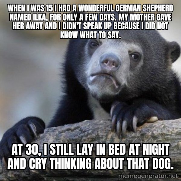 Confession Bear meme: When I was 15 I had a wonderful german shepherd named ilka, for only a few days. My mother gave her away and I didn't speak up because I did not know what to say. / At 30, I still lay in bed at night and cry thinking about that dog.