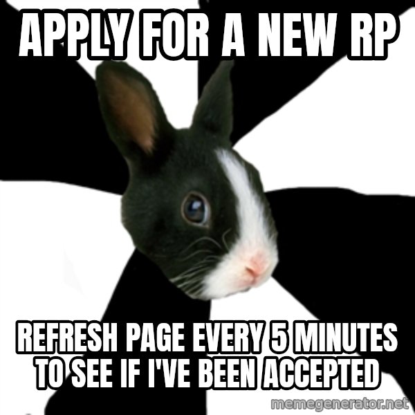 Roleplaying Rabbit meme: Apply for a new rp / refresh page every 5 minutes to see if i've been accepted