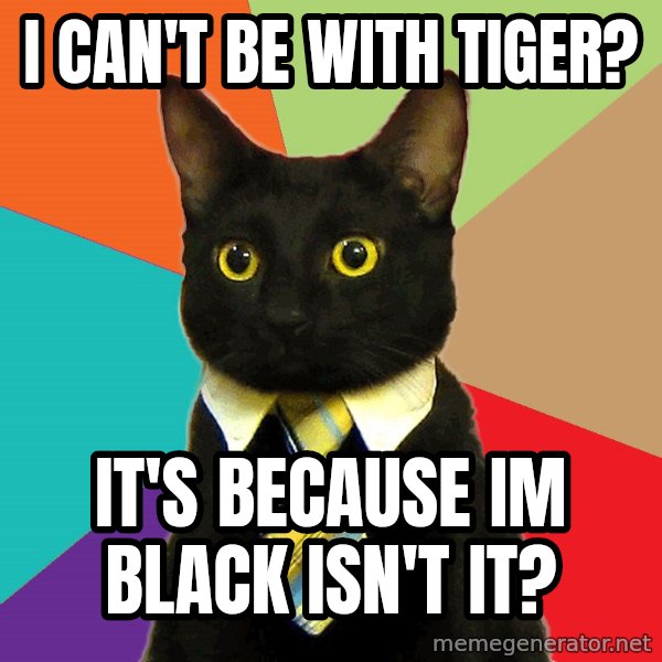 Business Cat meme: i can't be with tiger? / it's because im black isn't it?