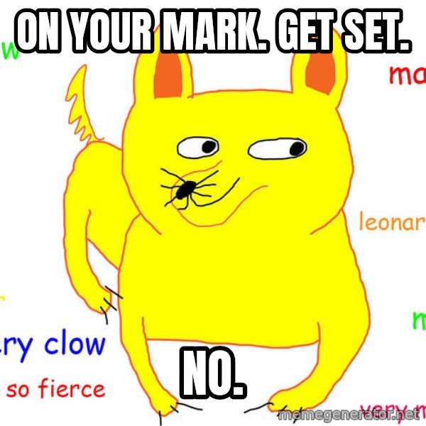 Grumpy Cat  meme: On your mark. get set. / no.