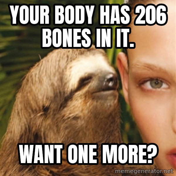 The Rape Sloth meme: Your Body has 206 bones in it. / Want one more?