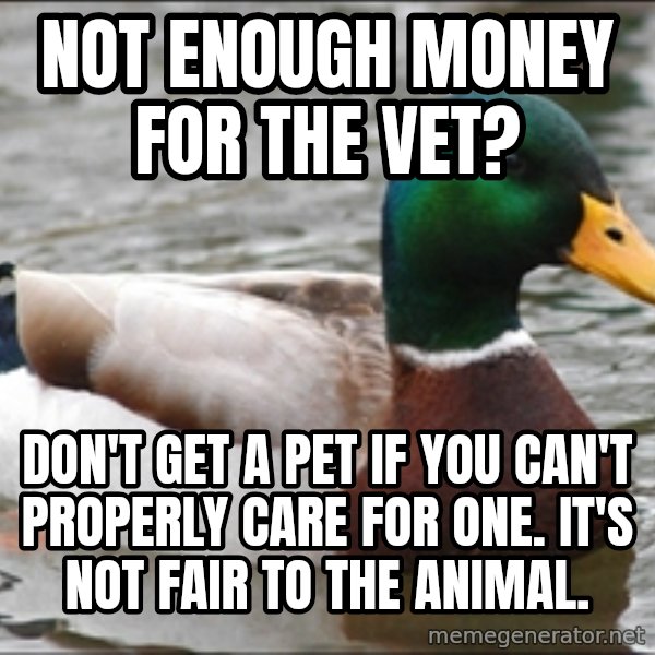 Actual Advice Mallard 1 meme: Not enOugh money for the Vet? / Don't get a pet if you can't properly Care for one. it's not Fair to the animal.