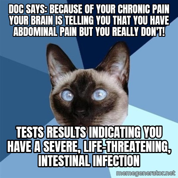 Chronic Illness Cat meme: Doc Says: Because of your chronic pain your brain is telling you that you have abdominal pain but you really don't! / tests results indicating you have a severe, life-threatening, intestinal infection