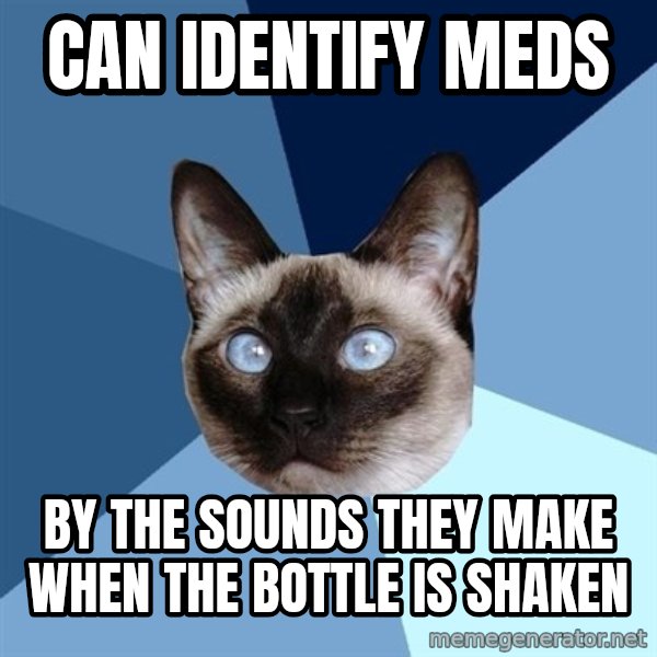 Chronic Illness Cat meme: Can identify meds / by the sounds they make when the bottle is shaken