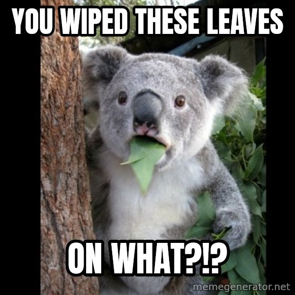 Koala can't believe it meme: You wiped these leaves / on what?!?