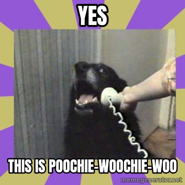 Yes, this is dog! meme: yes / this is poochie-woochie-woo