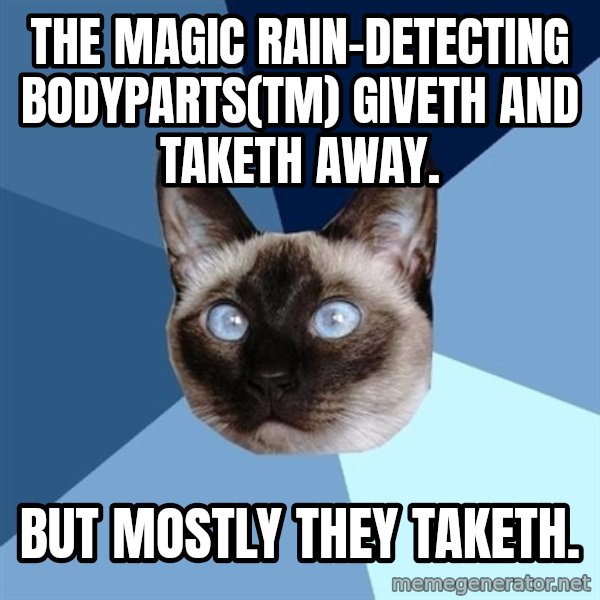 Chronic Illness Cat meme: The Magic Rain-Detecting Bodyparts(tm) giveth and taketh away. / But mostly they taketh.