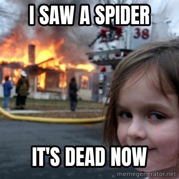 Disaster Girl meme: I saw a spider / it's dead now