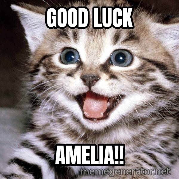 HAPPY KITTEN meme: GOOD LUCK / AMELIA!!