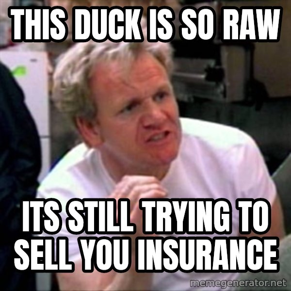 Gordon Ramsay meme: This Duck is so raw / Its still trying to sell you insurance