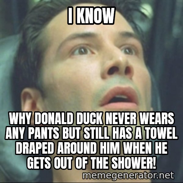 i know kung fu meme: i know / why donald duck never wears any pants but still has a towel draped around him when he gets out of the shower!