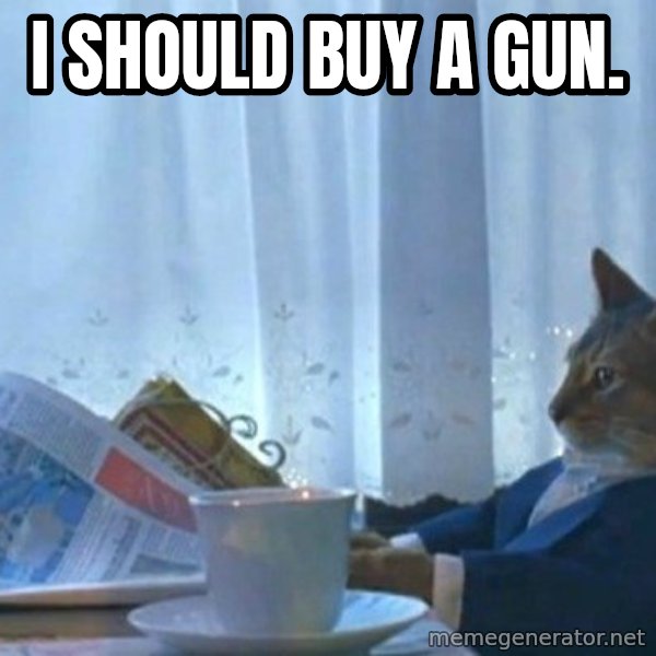 newspaper cat realization meme: I SHOULD BUY A GUN.