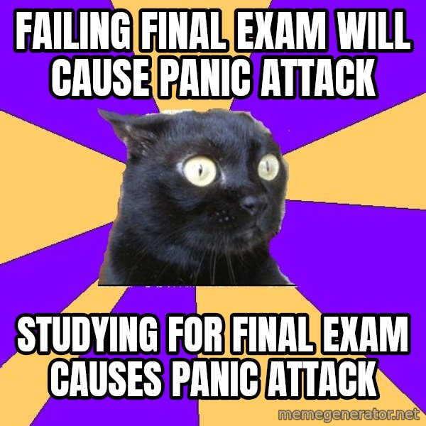 Anxiety Cat meme: Failing Final exam will cause panic attack / studying for Final exam causes panic attack