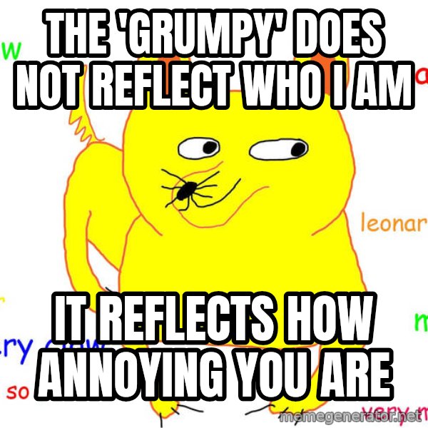 Grumpy Cat  meme: The 'grumpy' does not reflect who i am / it reflects how annoying you are