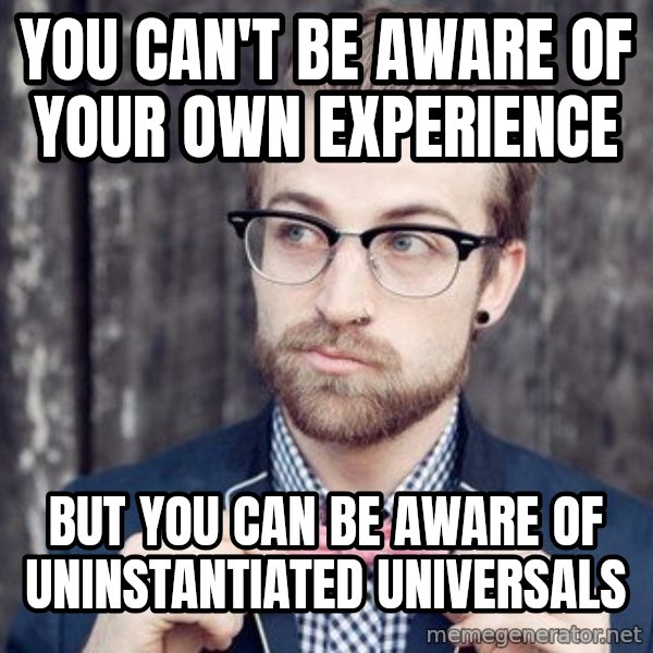 Scumbag Analytic Philosopher meme: YOU CAN'T BE AWARE OF YOUR OWN EXPERIENCE / But you can be aware of uninstantiated universals