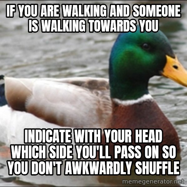 Actual Advice Mallard 1 meme: If you are walking and someone is walking towards you / indicate with your head which side you'll pass on so you don't awkwardly shuffle