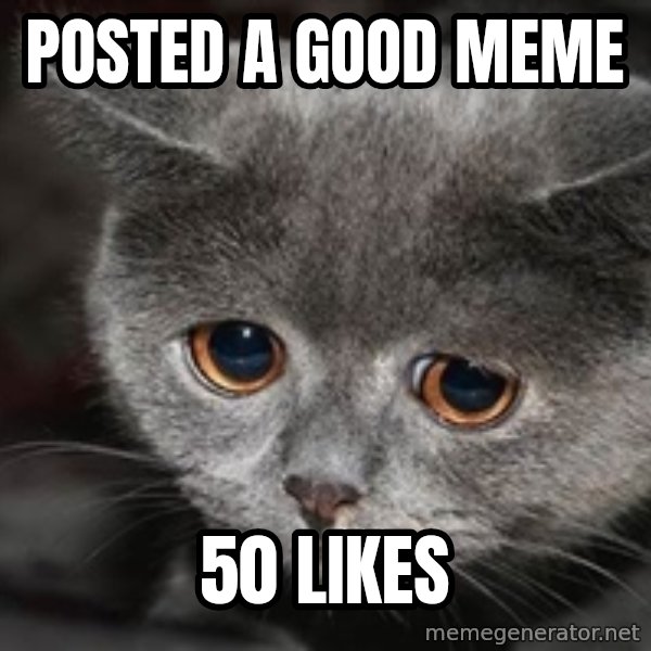 Sadcat meme: Posted a good meme / 50 likes