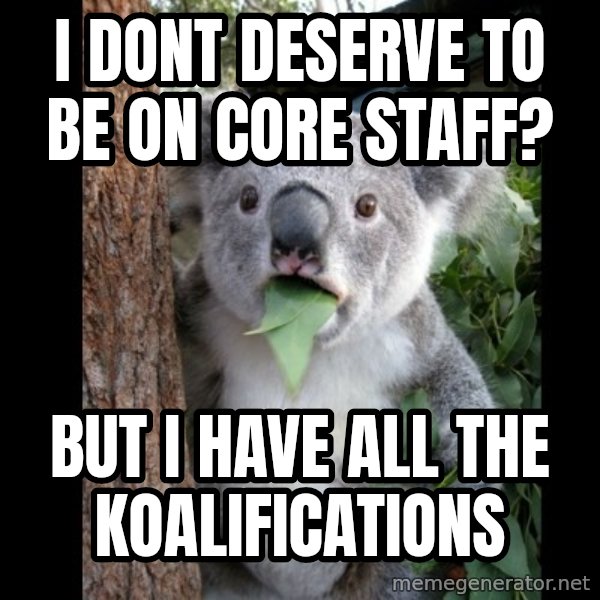 Koala can't believe it meme: i dont deserve to be on core staff? / but i have all the koalifications