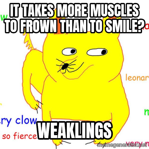 Grumpy Cat  meme: It takes more muscles to frown than to smile? / weaklings