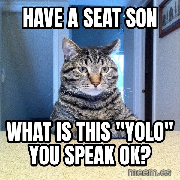 Chris Hansen Cat meme: HAVE A SEAT SON / WHAT IS THIS "YOLO" YOU SPEAK OK?