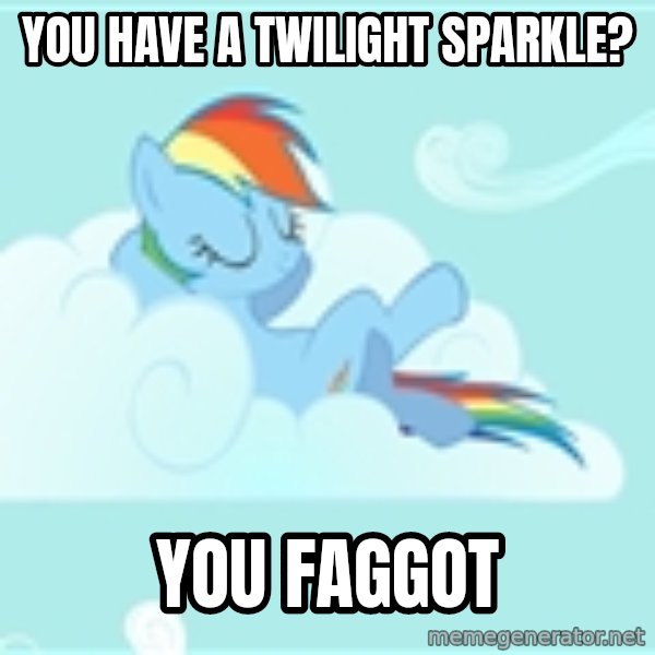 My Little Pony meme: You have a twilight sparkle? / YOU FAGGOT