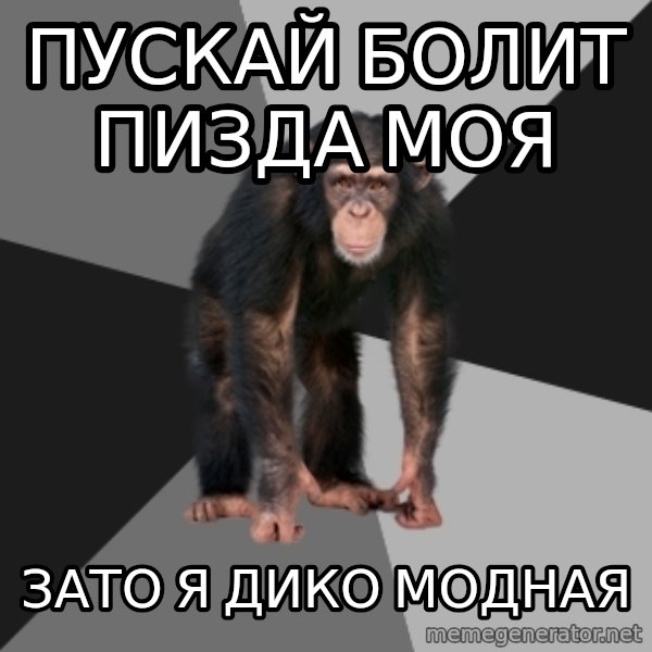 Drunken Monkey meme: пускай болит пизда моя / зато я дико модная
