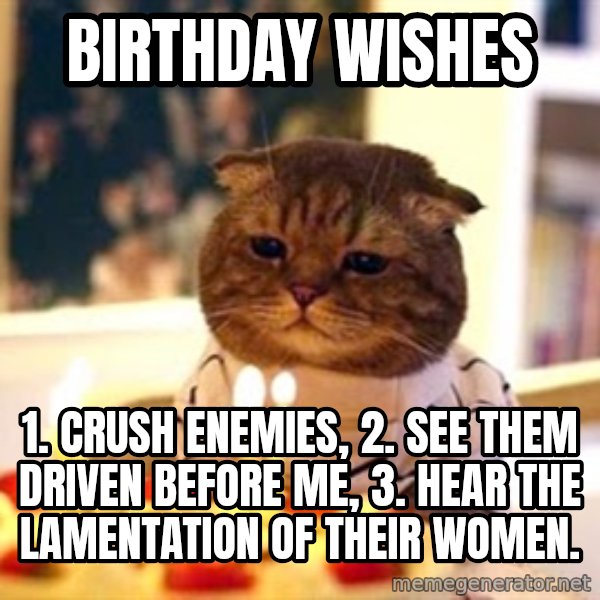 Birthday Cat meme: Birthday WishES / 1. crush enemies, 2. see them driven before ME, 3. hear the lamentation of their women.