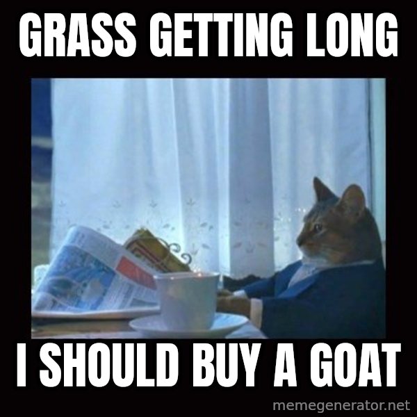 i should buy a boat cat meme: Grass getting long / I should buy a goat