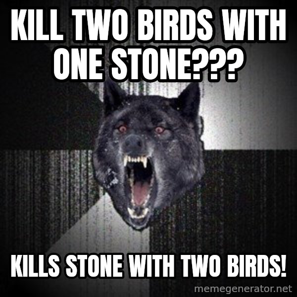 Insanity Wolf meme: Kill two birds with one stone??? / Kills stone with two birds!