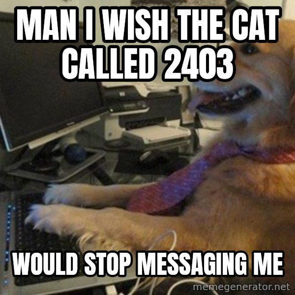 I have no idea what I'm doing - Dog with Tie meme: MAN I WISH THE CAT CALLED 2403 / WOULD STOP MESSAGING ME