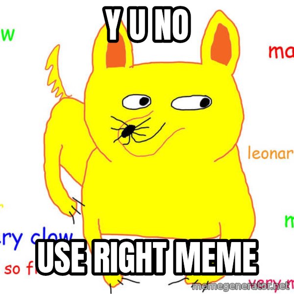 Grumpy Cat  meme: Y U NO / USE RIGHT MEME
