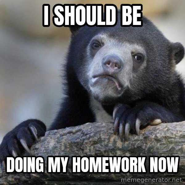 Confession Bear meme: i should be / doing my homework now