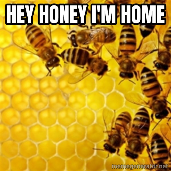 Honeybees meme: HEY HONEY I'M HOME