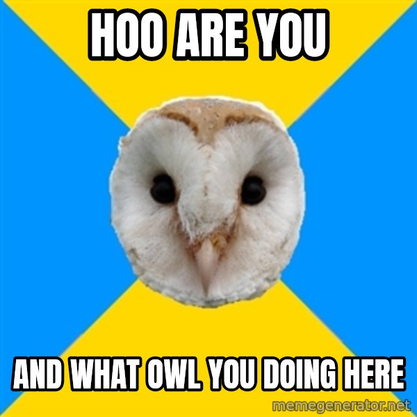 Bipolar Owl meme: hoo are you / and what owl you doing here