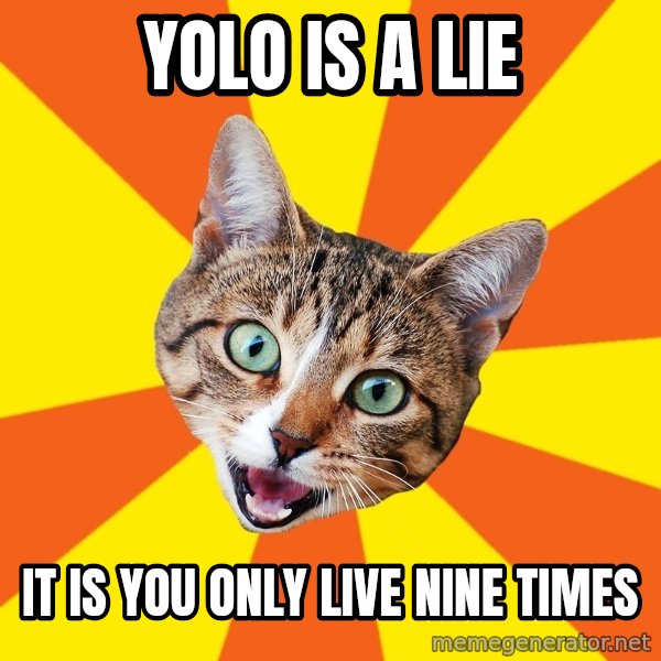 Bad Advice Cat meme: yolo is  a lie / it is you only live nine times