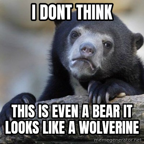 Confession Bear meme: i dont think / this is even a bear it looks like a wolverine