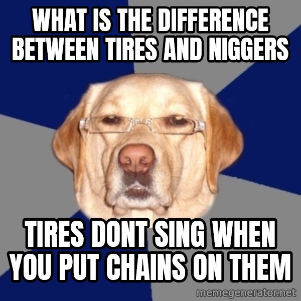 Racist Dog meme: What is the difference between tires and niggers / tires dont sing when you put chains on them