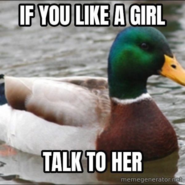 Actual Advice Mallard 1 meme: if you like a girl / talk to her