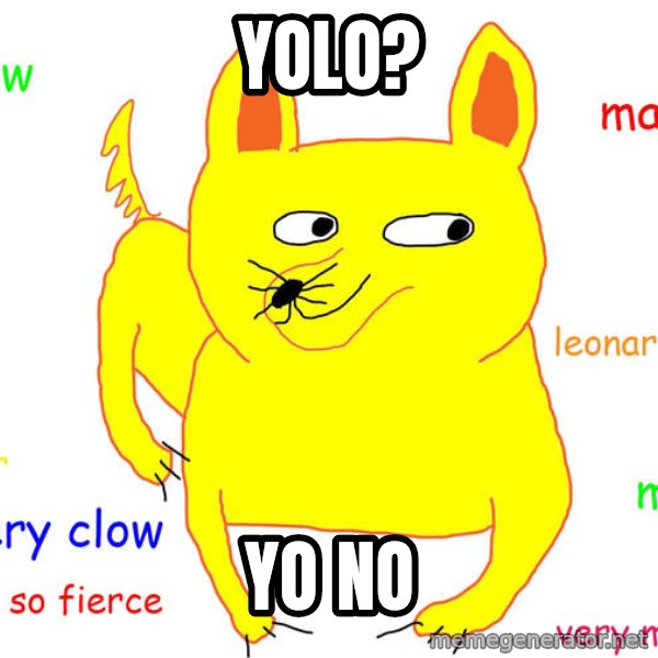 Grumpy Cat  meme: yolo? / yo no