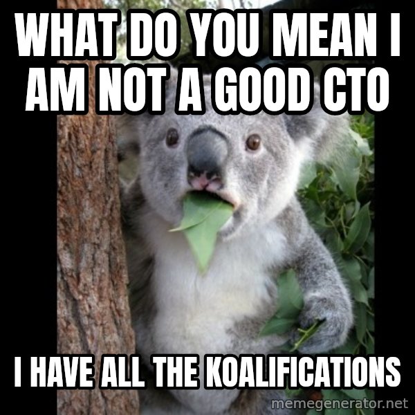 Koala can't believe it meme: what do you mean I am not a good cto / I have all the Koalifications
