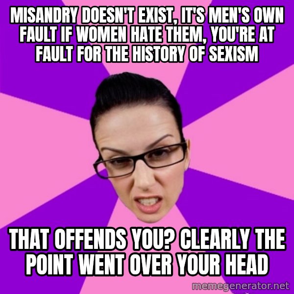 Privilege Denying Feminist meme: misandry doesn't exist, it's men's own fault if women hate them, you're at fault for the history of sexism / that offends you? clearly the point went over your head
