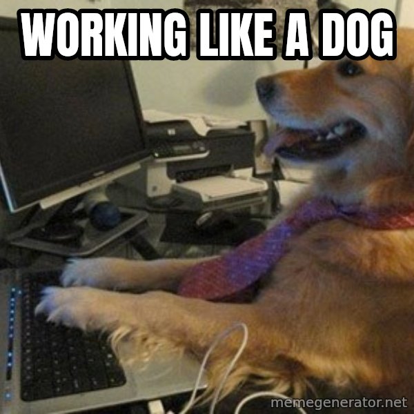 I have no idea what I'm doing - Dog with Tie meme: working like a dog