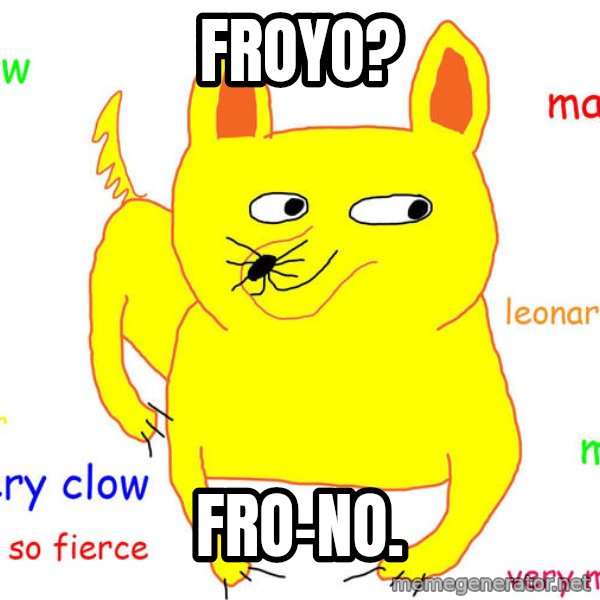 Grumpy Cat  meme: FRoyo? / FRo-no.
