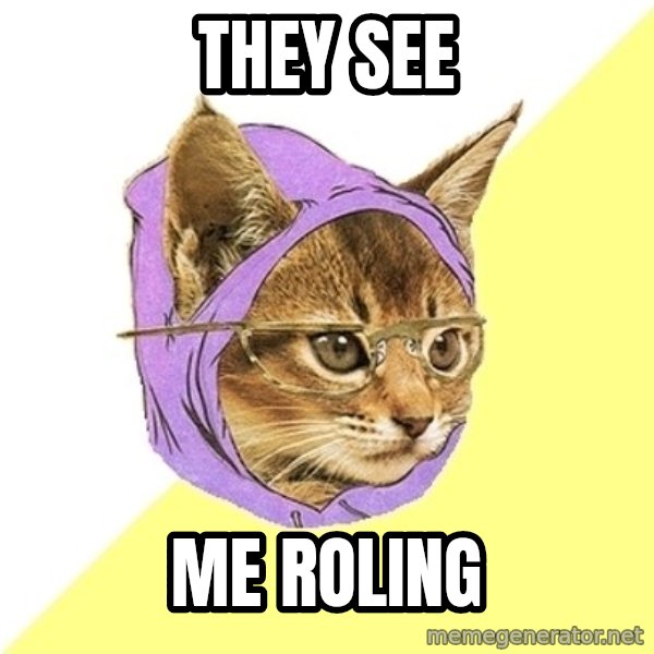 Hipster Kitty meme: THEY SEE / ME ROLING