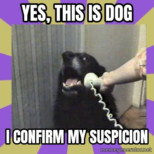 Yes, this is dog! meme: yes, this is dog / i confirm my suspicion