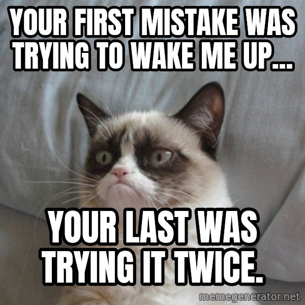 Grumpy cat good meme: Your First mistake was trying to wake me up... / Your last was trying it twice.